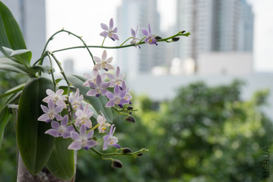 20150718-DSC00112.jpg