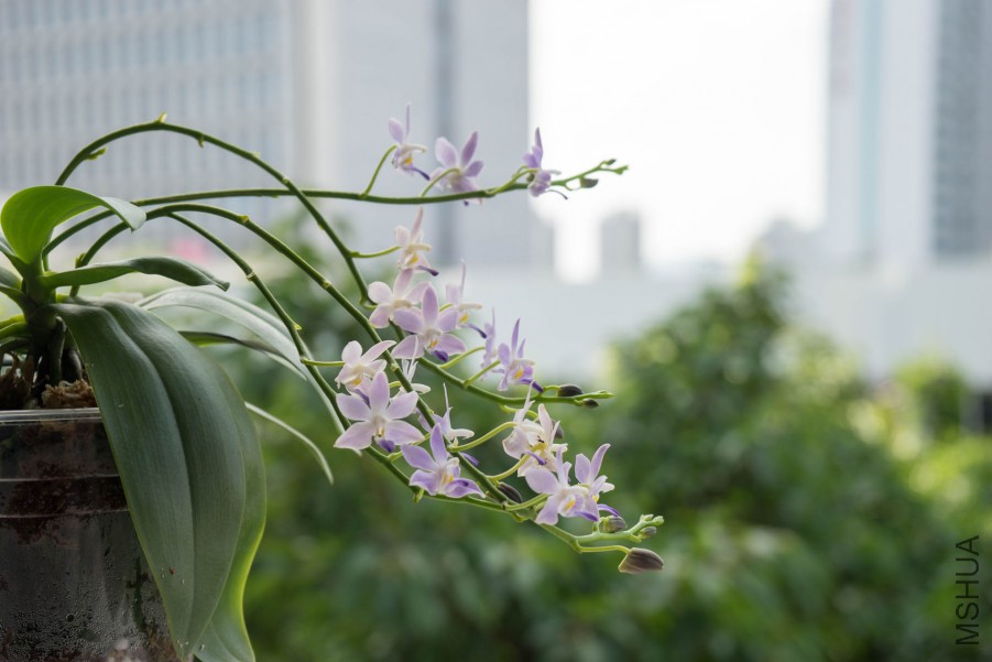 20150718-DSC00114.jpg