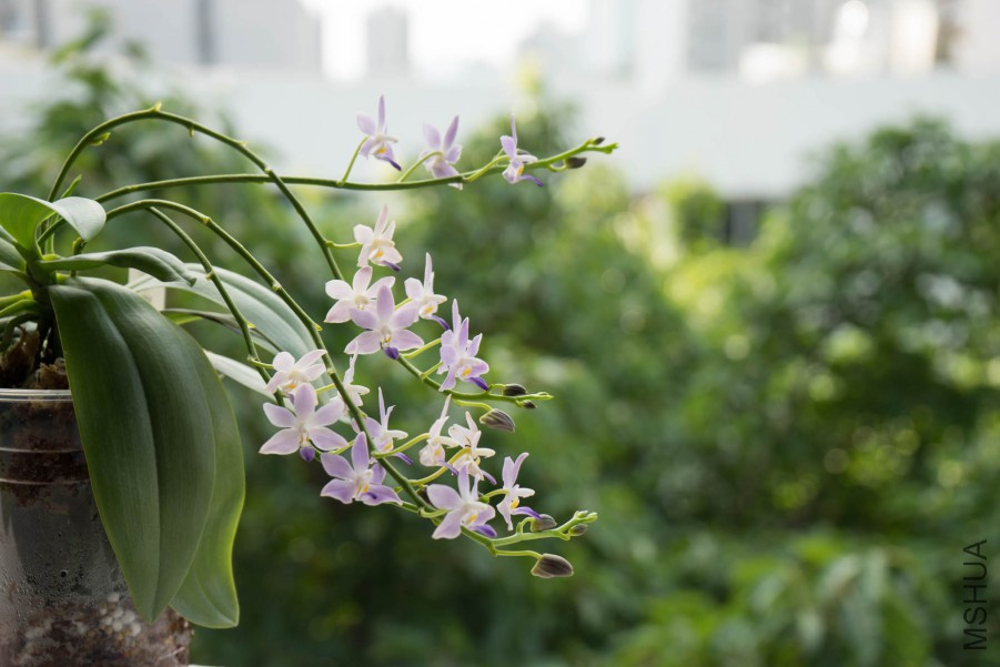 20150718-DSC00120.jpg