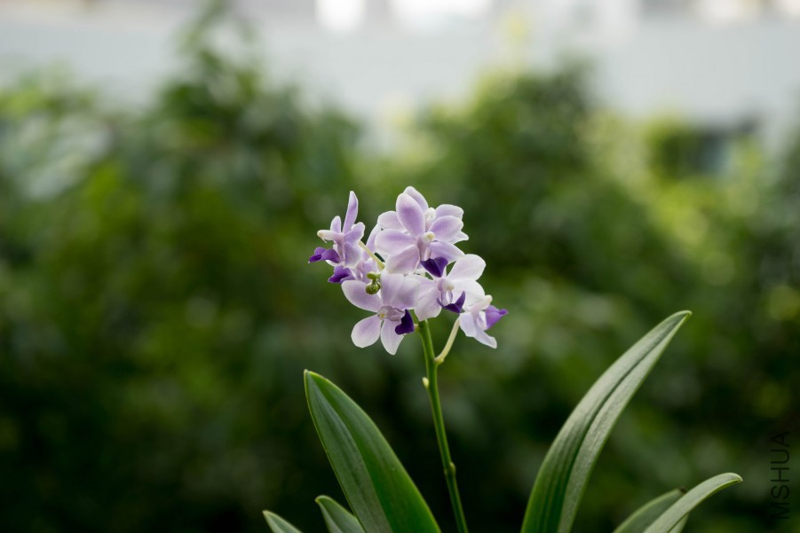 20150718-DSC00121.jpg