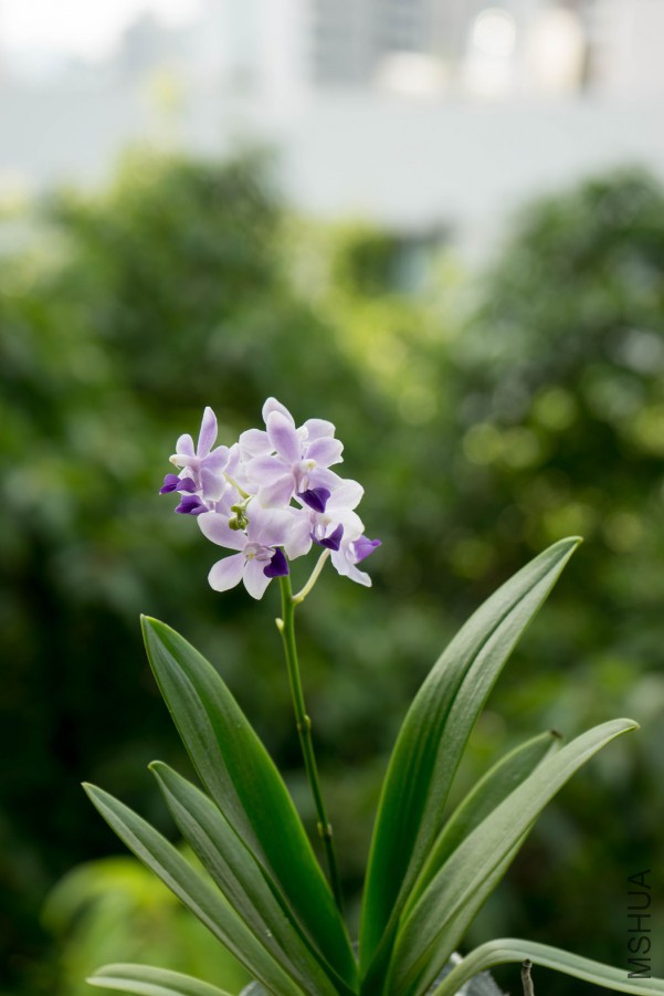20150718-DSC00123.jpg