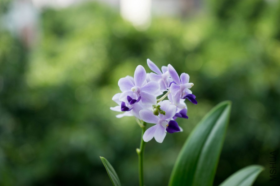 20150718-DSC00129.jpg
