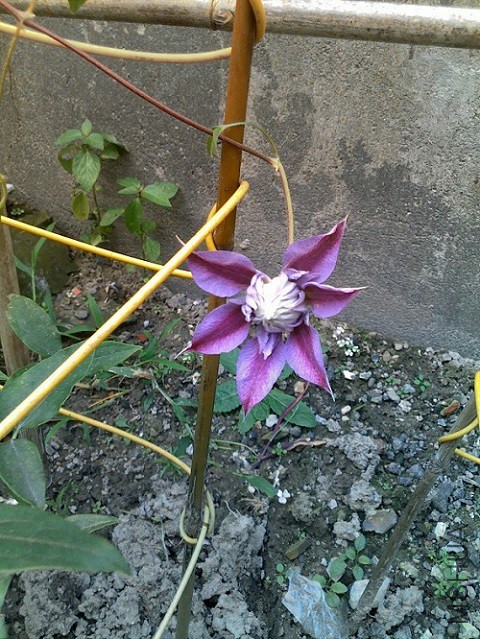 201507171100.jpg