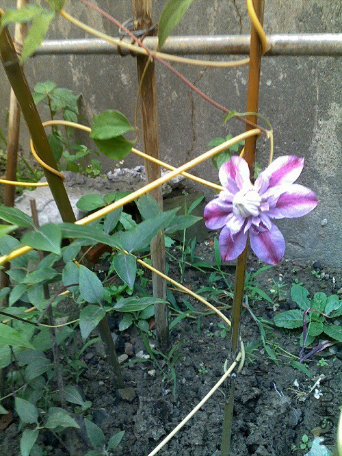 201507181103.jpg