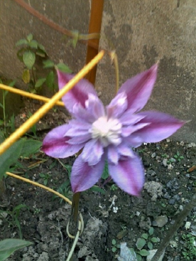201507181104.jpg