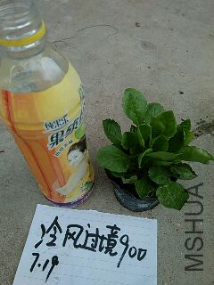 UC_Photo_168.jpg