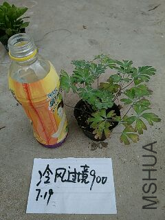 UC_Photo_169.jpg