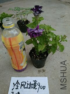 UC_Photo_170.jpg