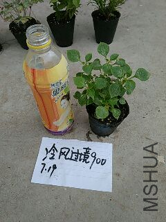 UC_Photo_172.jpg