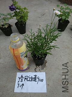 UC_Photo_173.jpg