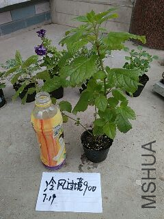 UC_Photo_174.jpg