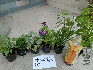 UC_Photo_175.jpg
