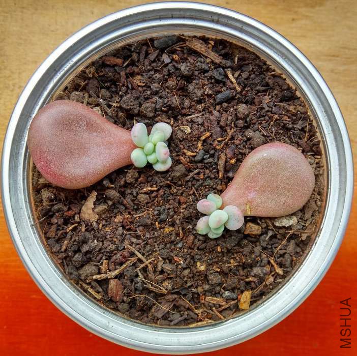 ��֮��7 (2).jpg