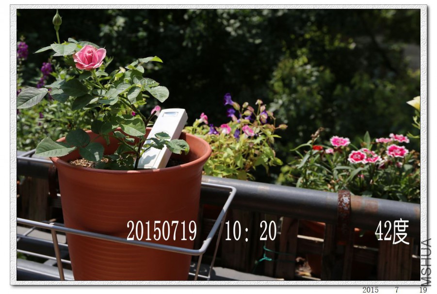 2015071903.jpg