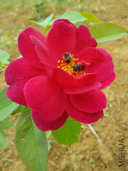 �ʹ�2