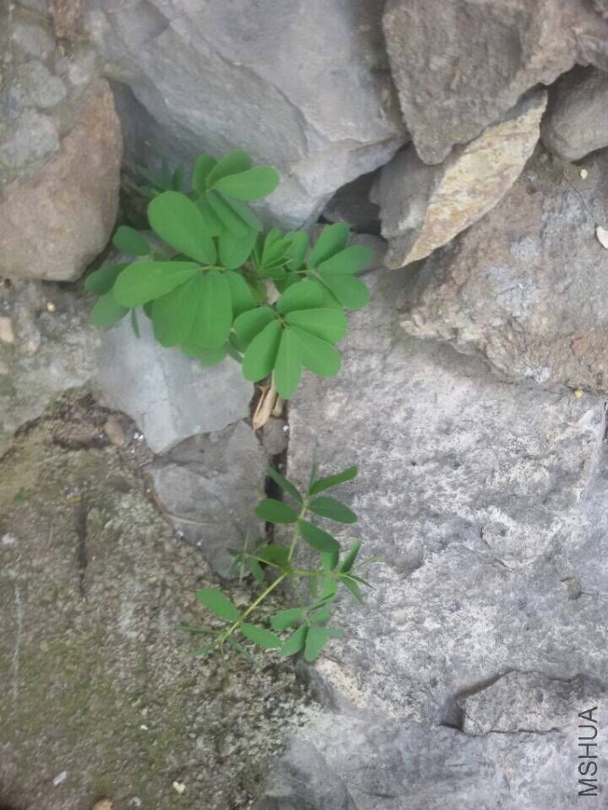 QQͼƬ20150720081449.jpg