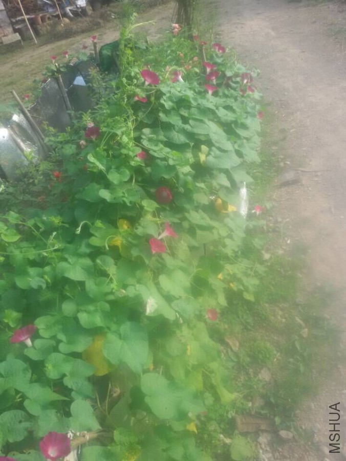 QQͼƬ20150720081439.jpg