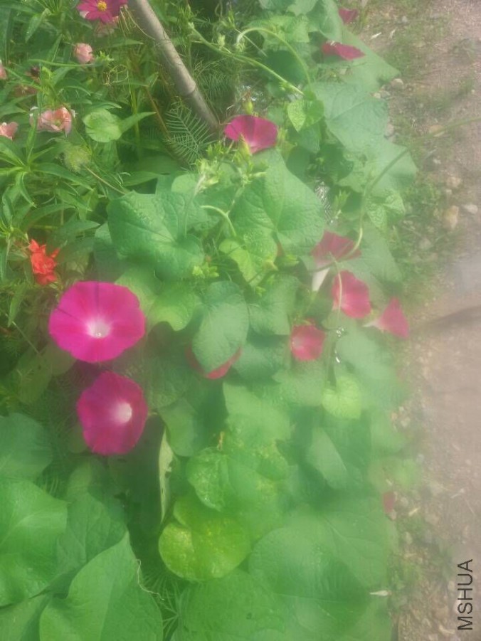 QQͼƬ20150720081429.jpg