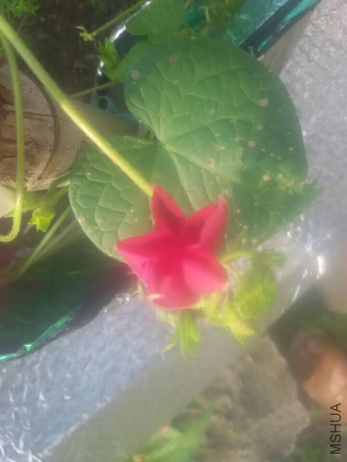 QQͼƬ20150720081341.jpg
