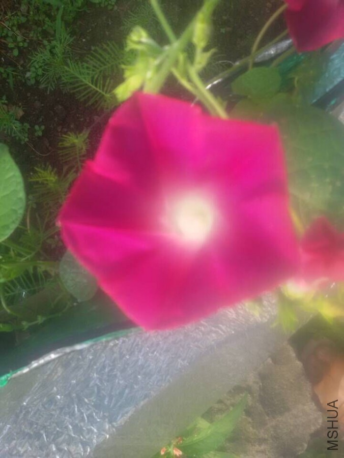 QQͼƬ20150720081344.jpg