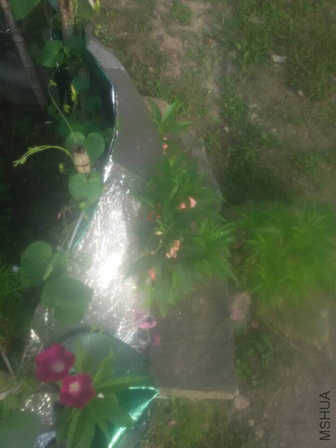 QQͼƬ20150720081351.jpg