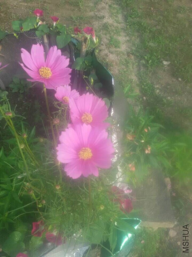QQͼƬ20150720081356.jpg