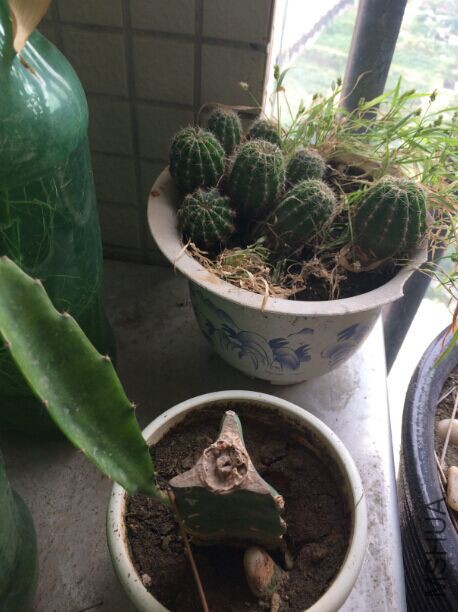 QQͼƬ20150719170828.jpg