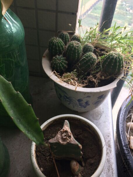 QQͼƬ20150719170843.jpg