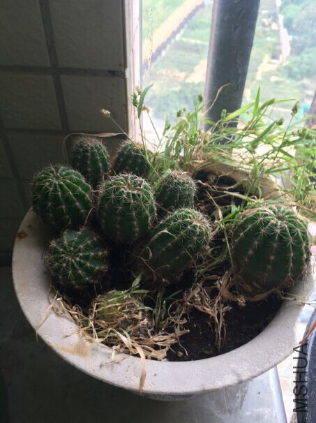 QQͼƬ20150719170910.jpg