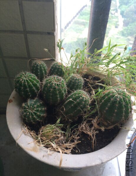 QQͼƬ20150719170858.jpg