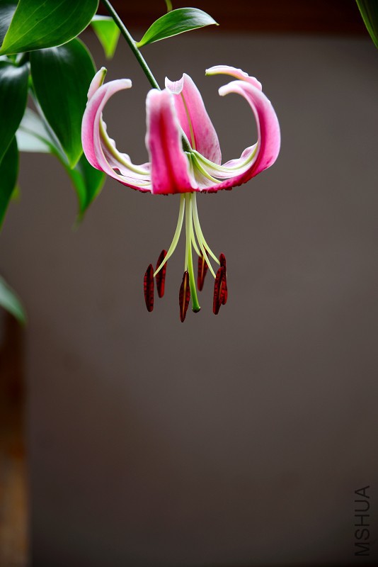 DSC_5476.jpg