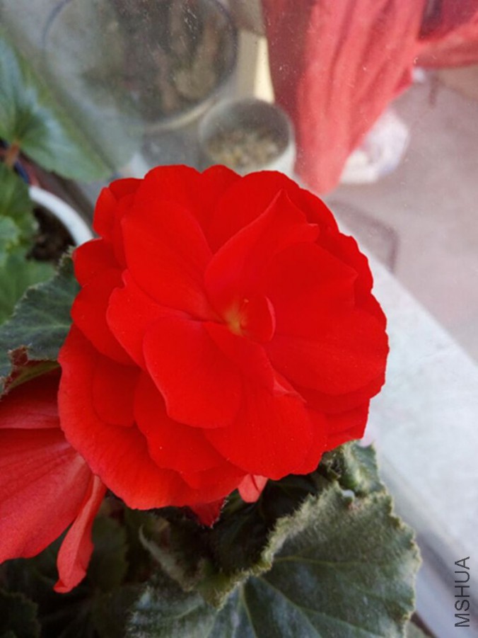 My Pictures-5f1e8ffe7ce242b1_����.jpg