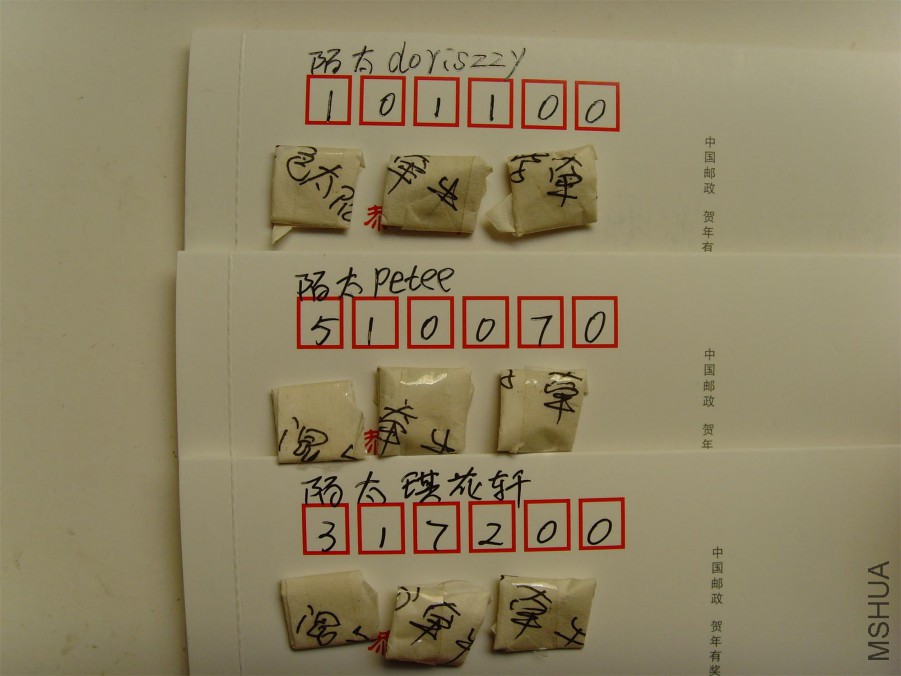 SNV39282.JPG