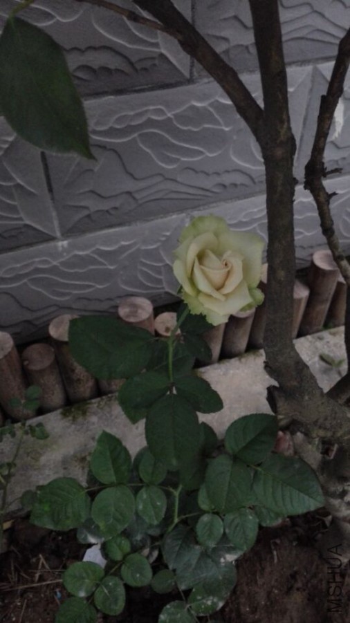 QQͼƬ20150721171922.jpg