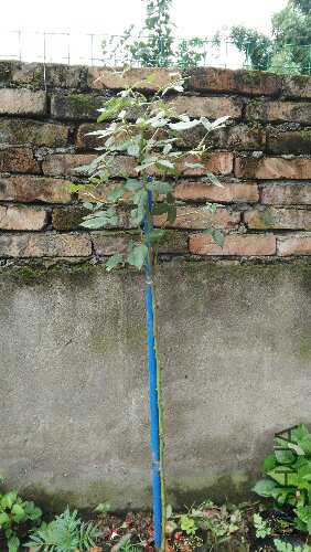 2015-07-22_10.11.39.jpg