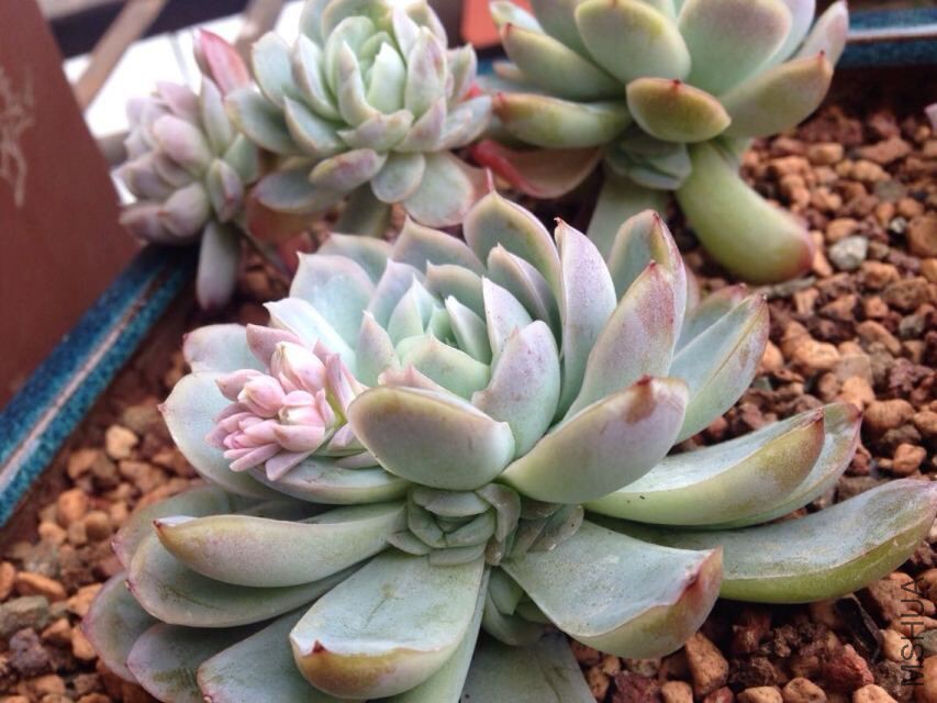 QQͼƬ20150722091145.jpg