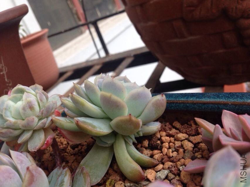 QQͼƬ20150722091158.jpg