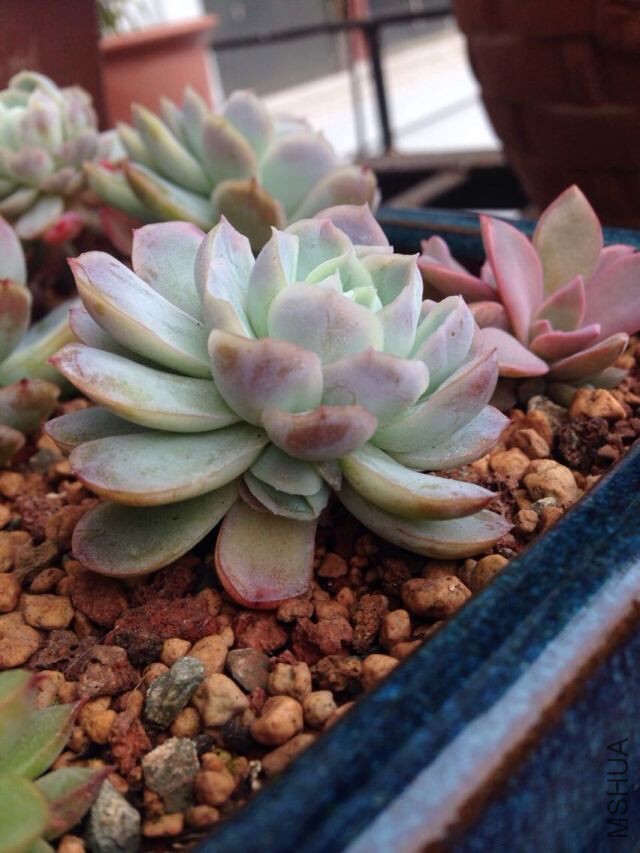 QQͼƬ20150722091204.jpg