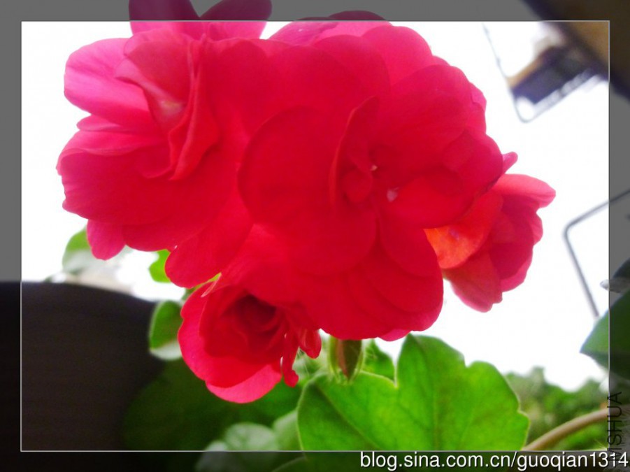 53fae98agbc60b472513d&amp;690.jpg