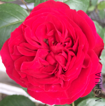 QQ��ͼ20150723190318.png
