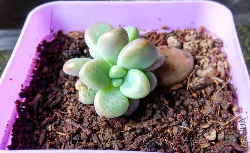 ���¶�ʮ���� (6).jpg