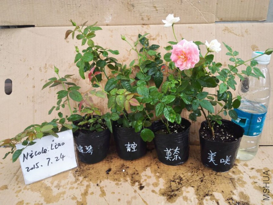 QQͼƬ20150724093639.jpg