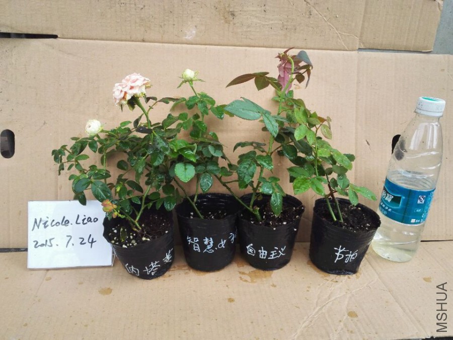 QQͼƬ20150724093658.jpg