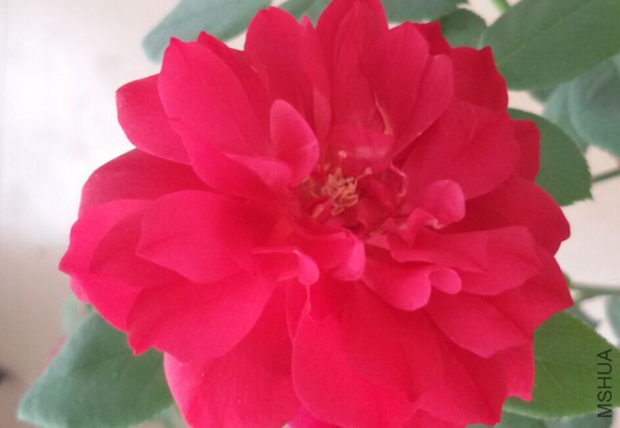 QQͼƬ20150724094615.jpg