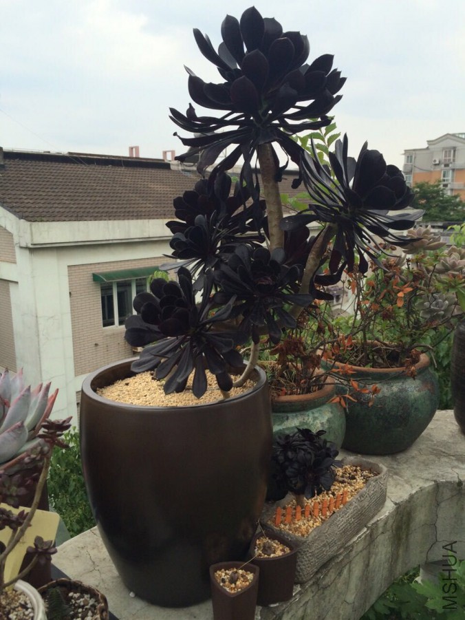 QQͼƬ20150514163244.jpg