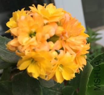 QQ��ͼ20150724135000.png