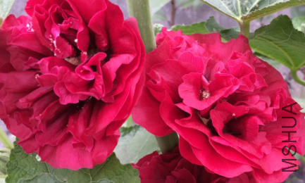 QQ��ͼ20150724135104.png