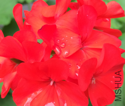 QQ��ͼ20150724135134.png