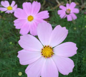 QQ��ͼ20150724135151.png