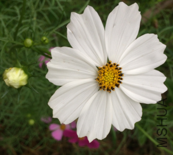 QQ��ͼ20150724135250.png